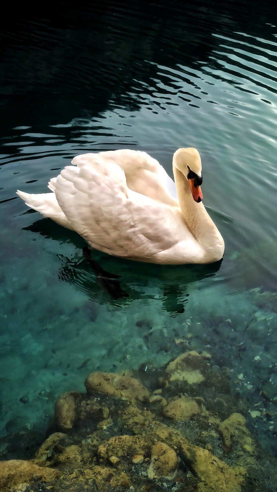 Язык Тролля и Голубые озёра, индивидуальный тур - экскурсия в Верхнюю Балкарию (16/26)