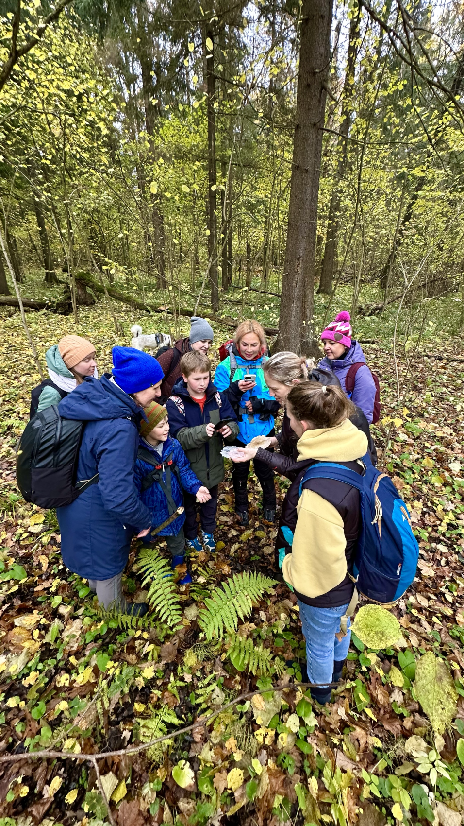 Пеший поход Дорога в Лавру. Лесной скит (6/14)