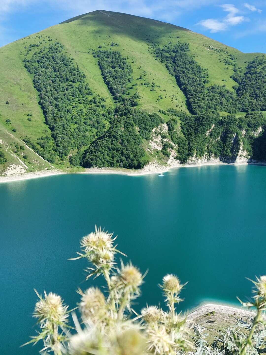 Чечня! История и Величие Кавказа. Из Владикавказа (46/51)