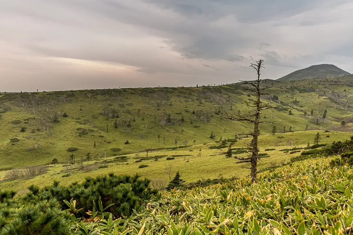Кунашир и Хабомаи. Путешествие на другую планету (6/142)