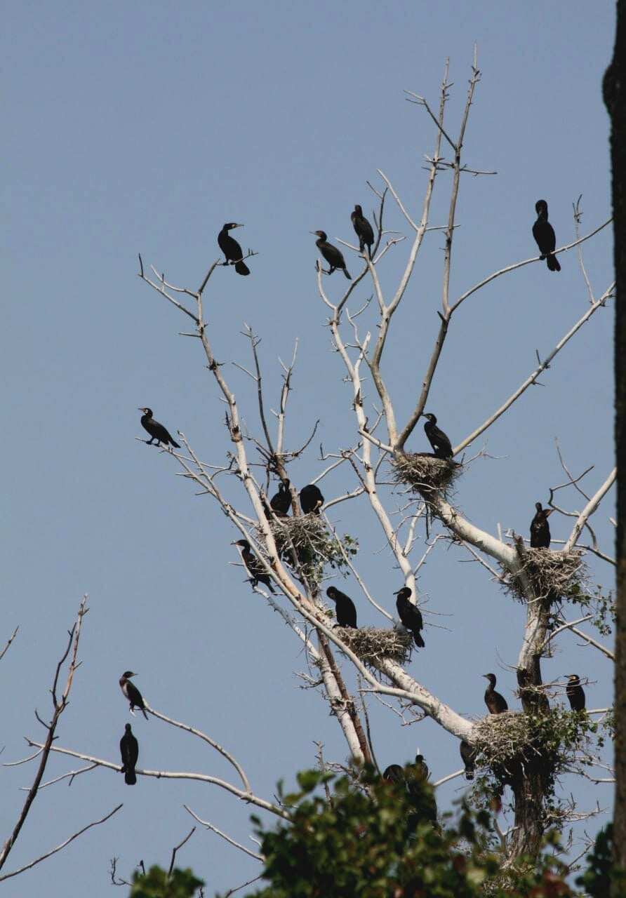 Тайны Пиллау и Дикий запад (22/22)