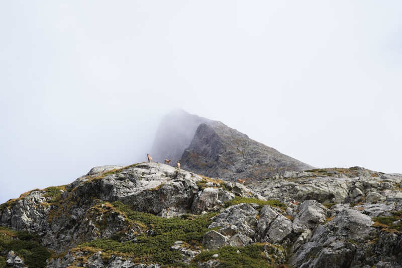Кардывач Золотая осень 4 дня (6/22)