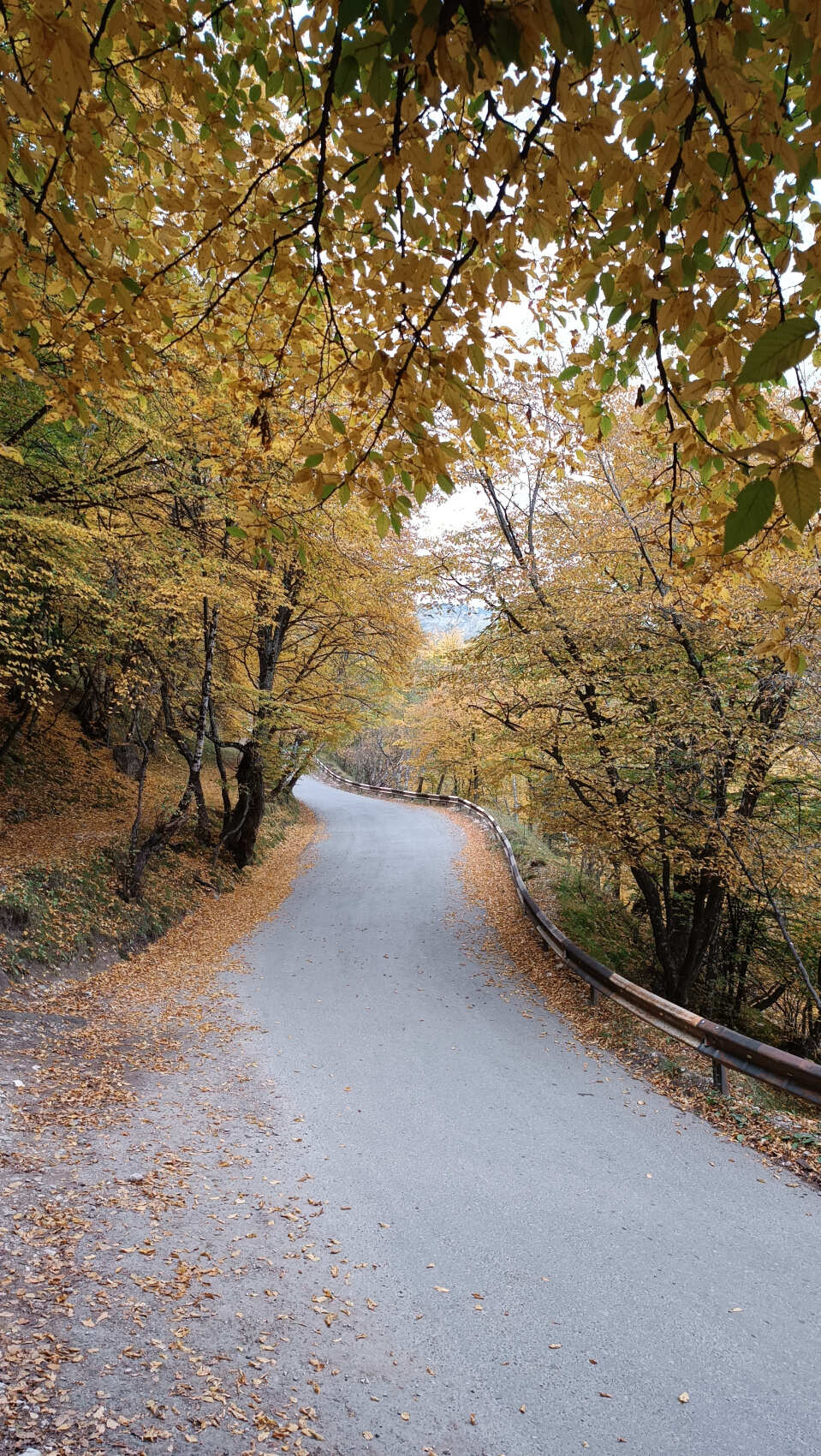 Восхождение на гору Маяк в Гунибском районе (3/13)