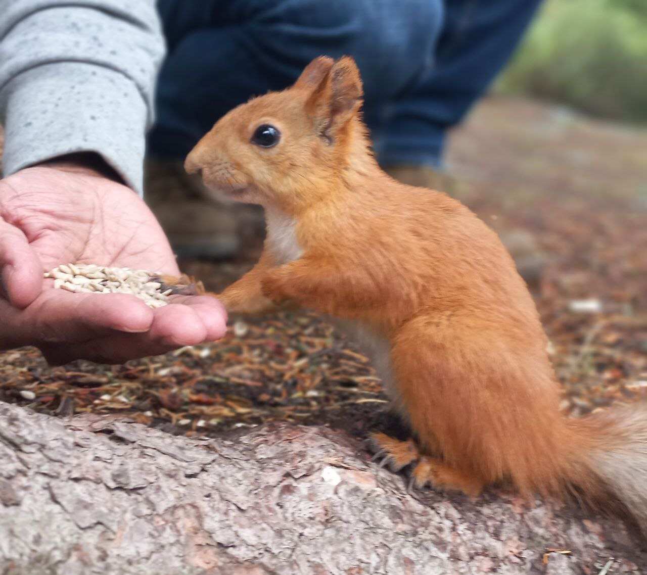 Национальный парк Ала-Арча и ночная жизнь Бишкека, как живет мегаполис!! (15/25)