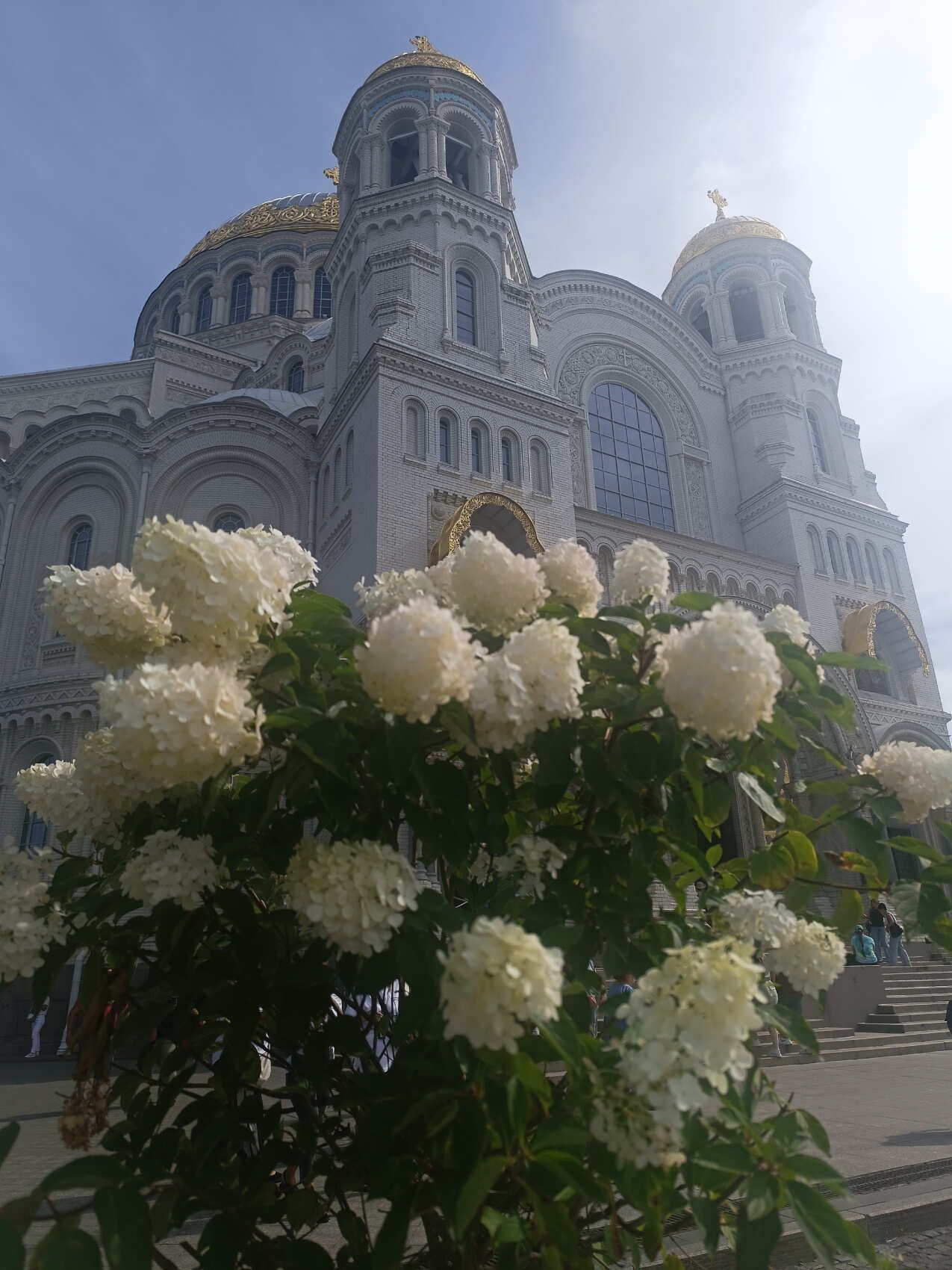 Большое путешествие в Кронштадт