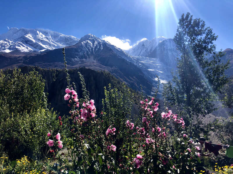 Непал. Трек вокруг Аннапурны по часовой! (13/122)