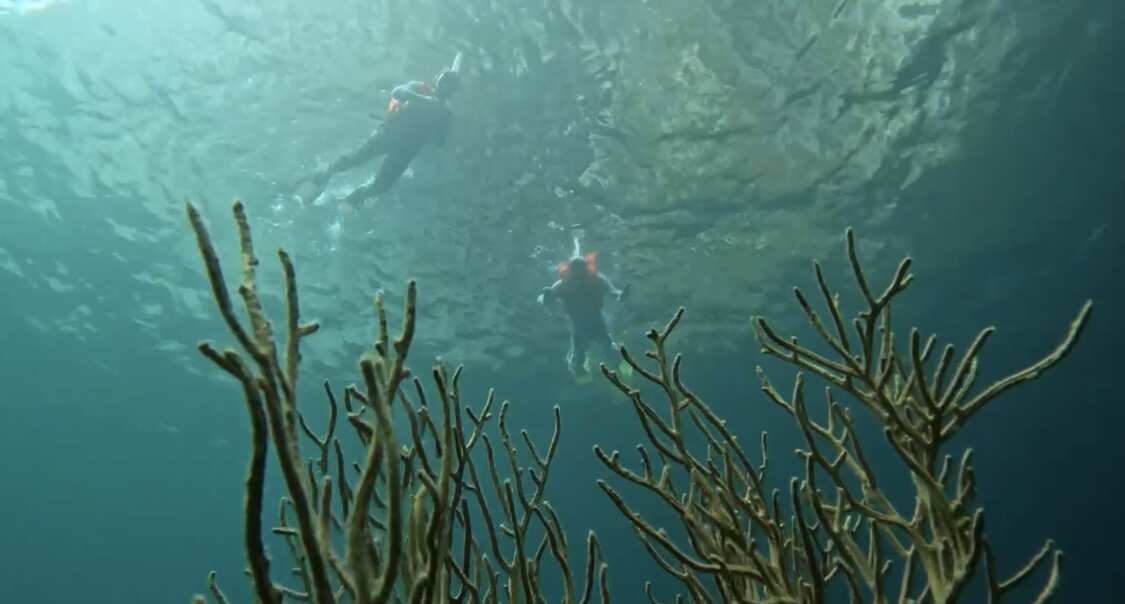 Путешествие на необитаемые острова архипелага Phi Phi. Сноркелинг с черепахами (3/41)