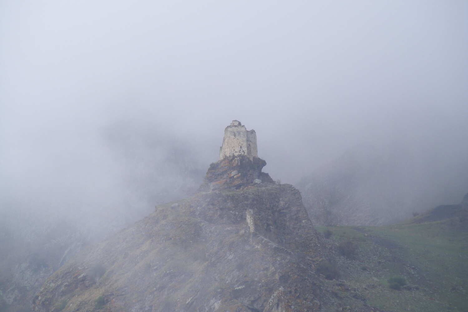 К цветущим рододендронам! (5/19)