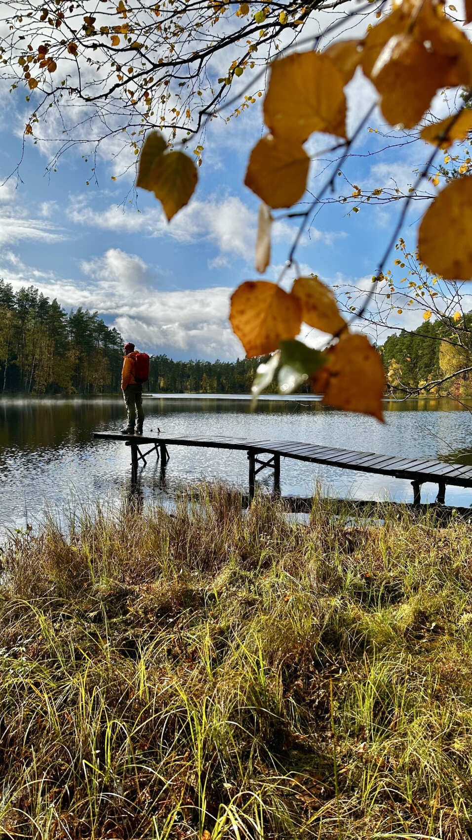 Пеший поход в Озерный край (5/8)