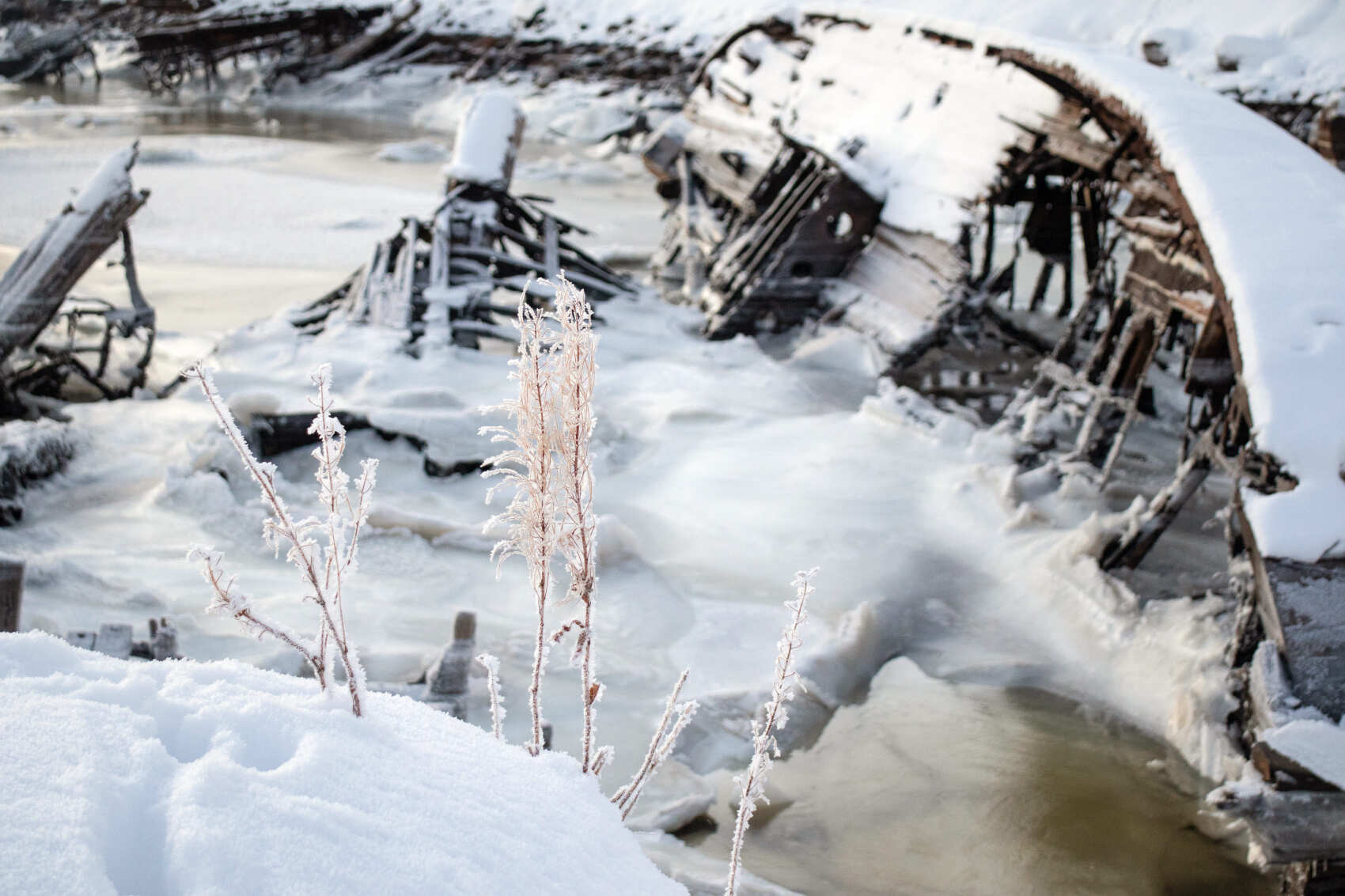 3 в 1: Мурманск-Териберка-Кировск (8/25)