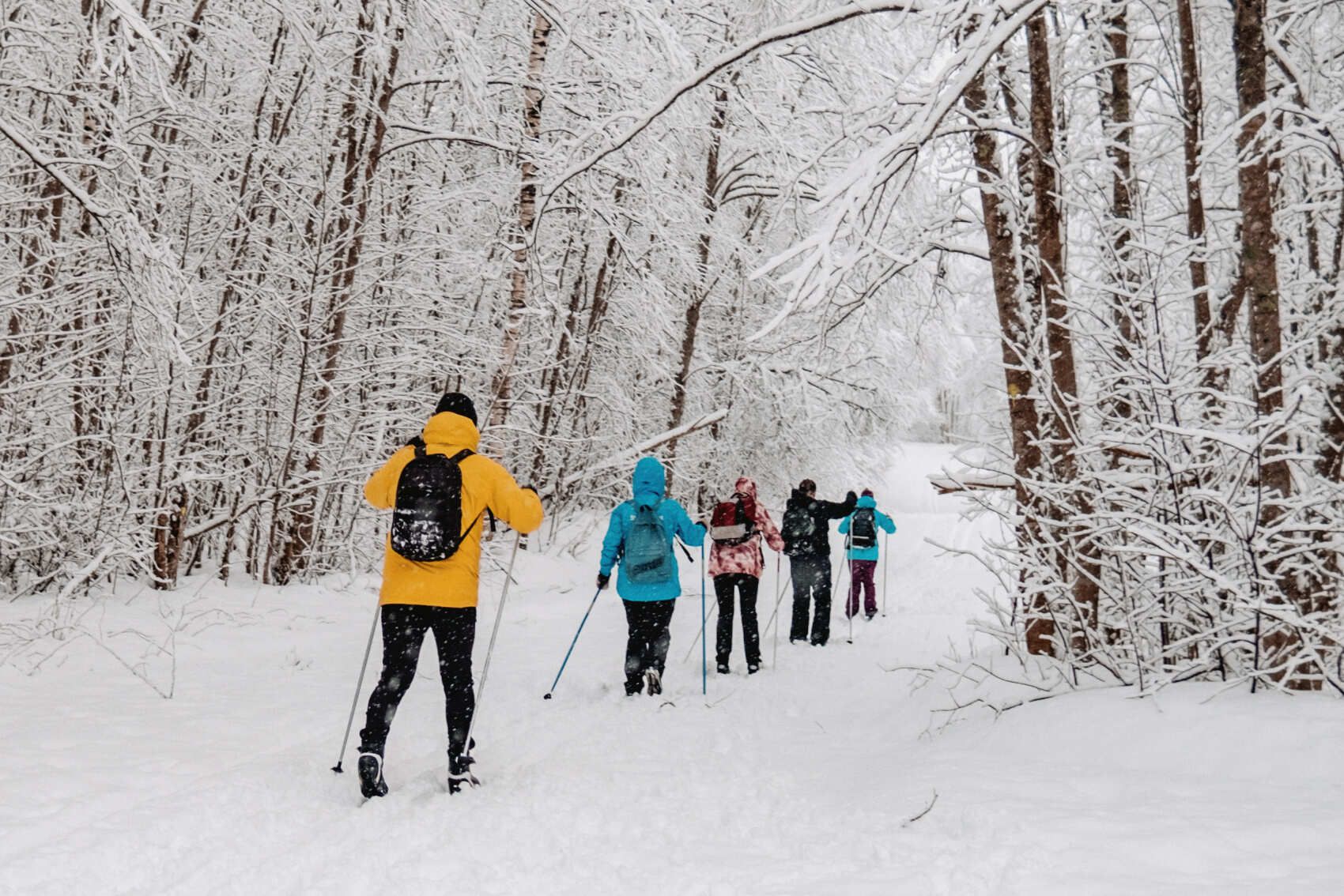 Лыжные тренировки в Санкт-Петербурге. Базовый уровень