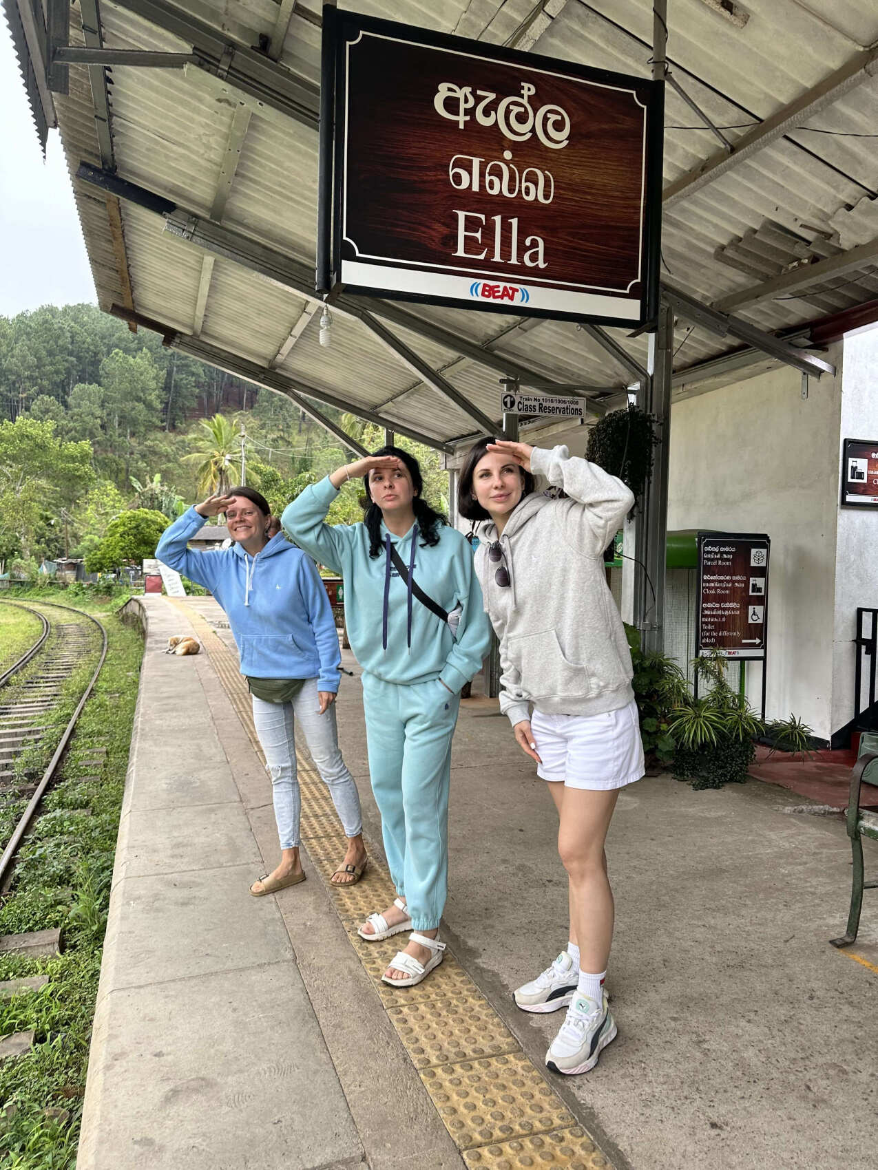 Шри-Ланка. 14 насыщенных дней твоей жизни! Восточные пляжи, горы, чай, киты и слоны (19/67)