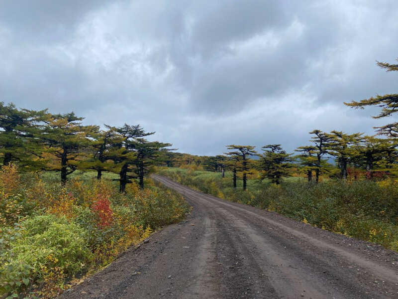 Комфортная экспедиция на Итуруп и Сахалин (5/61)