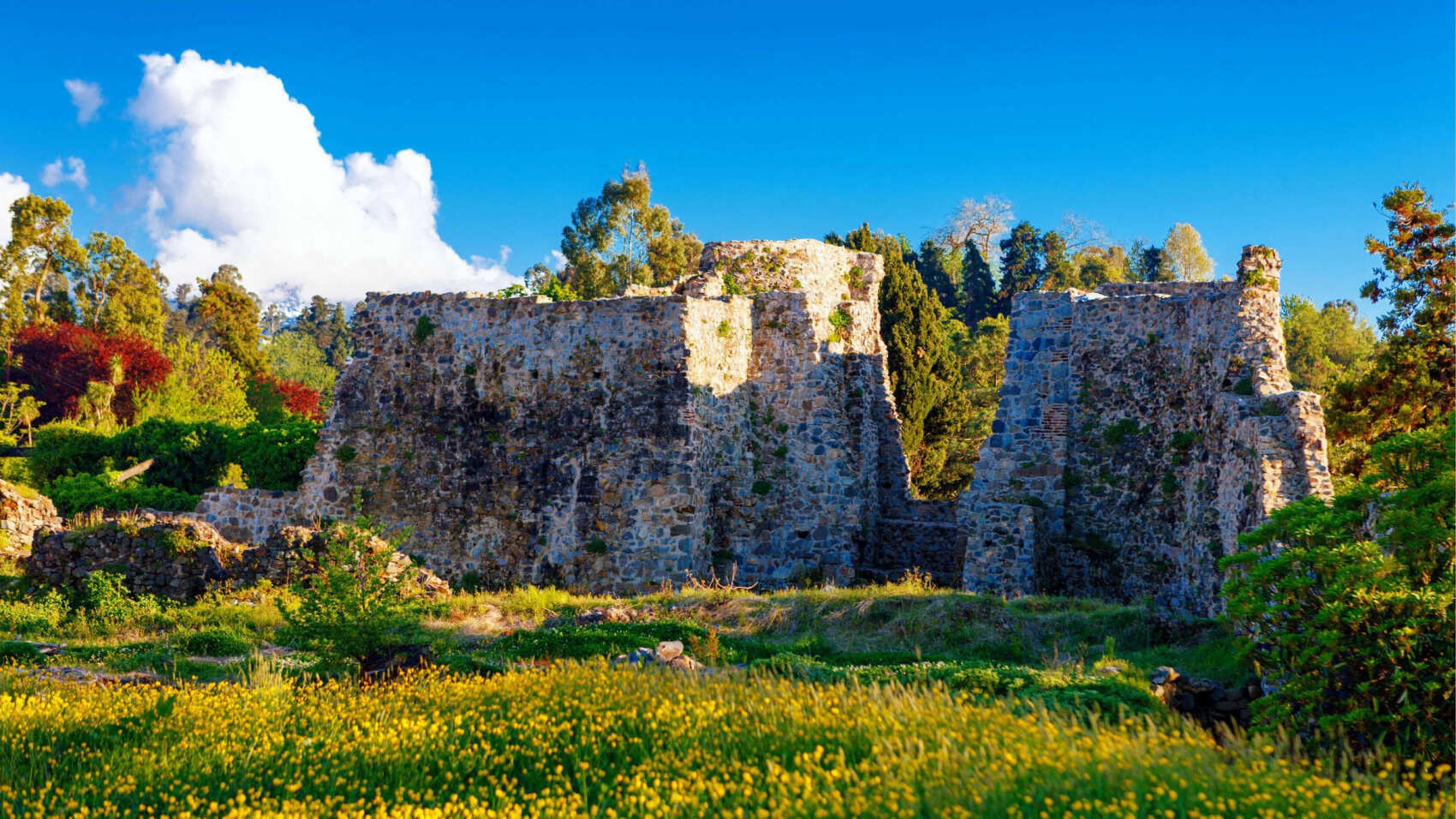 Insta-tour - ботанический рай и крепость Петра (6/8)