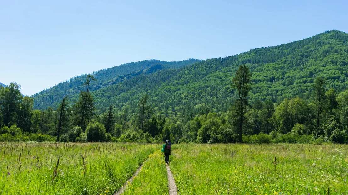 Треккинг к подножию Белухи налегке, с конным сопровождением (65/69)