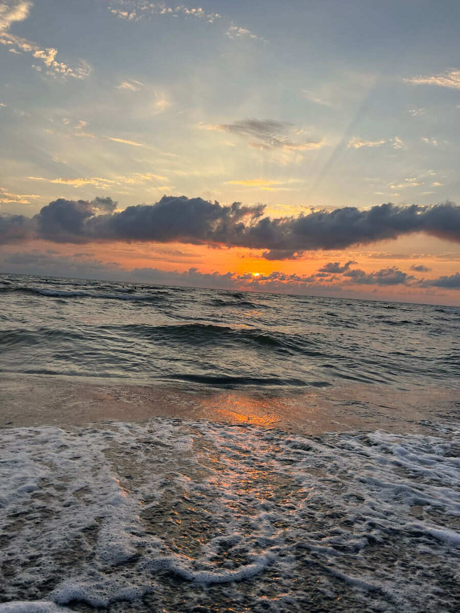 Индивидуальный Развлекательный тур с посещением Дельфинария и Цицинате (2/9)