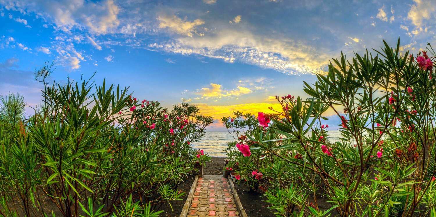 Индивидуальная Экскурсия в крепость Гонио и Батумский Ботанический сад (6/7)