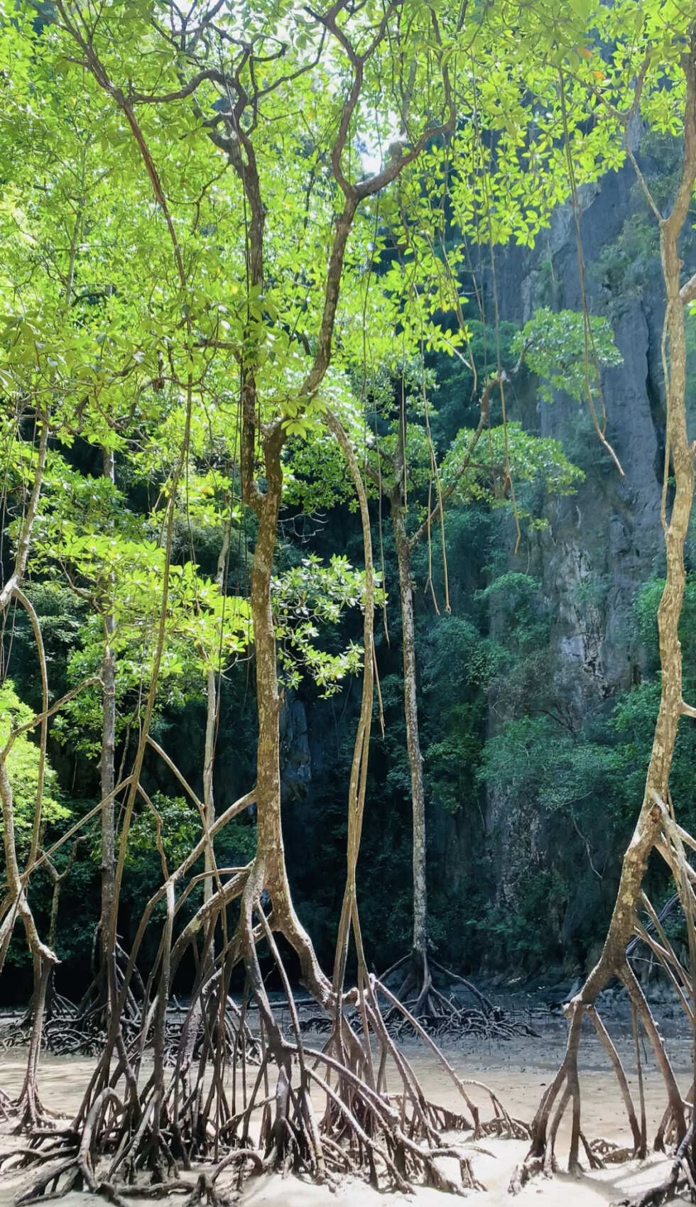 Долина зоолитов. Пещерная экзотика (3/47)