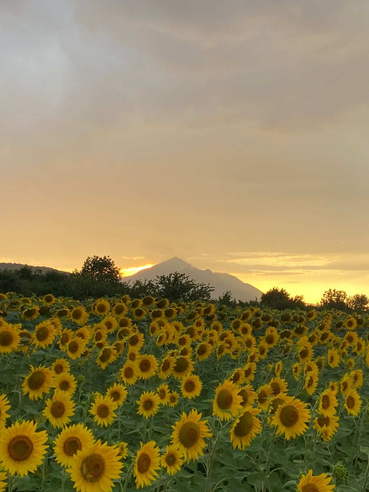 Двуглавый Эльбрус с другого ракурса (6/9)