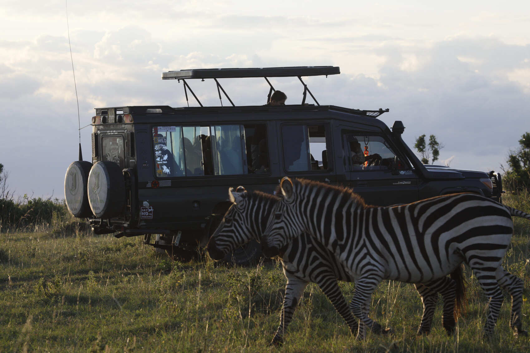 Незабываемые впечатления от сафари в Масаи-Мара (3/14)