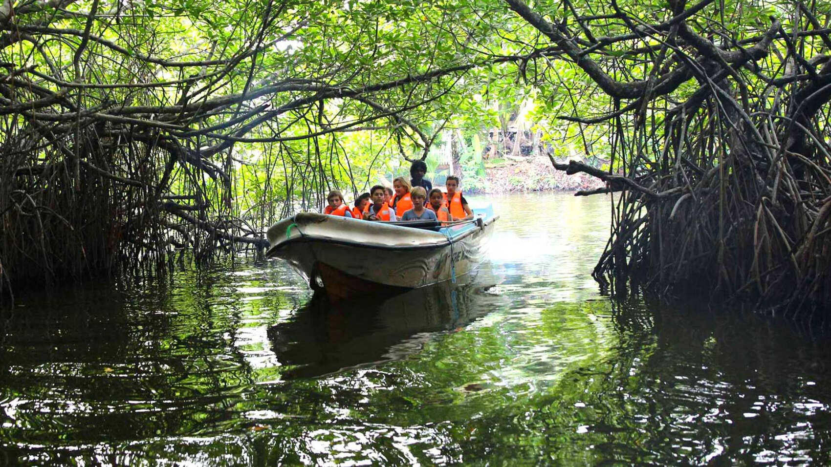 Шри-Ланка за 4 дня: От Коломбо до Синхараджи (индивидуально)