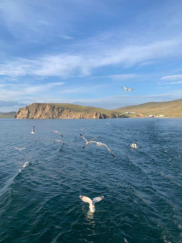 Перезагрузка, Релакс и Антистресс на Байкале. Дети скидка - 10%! (53/84)