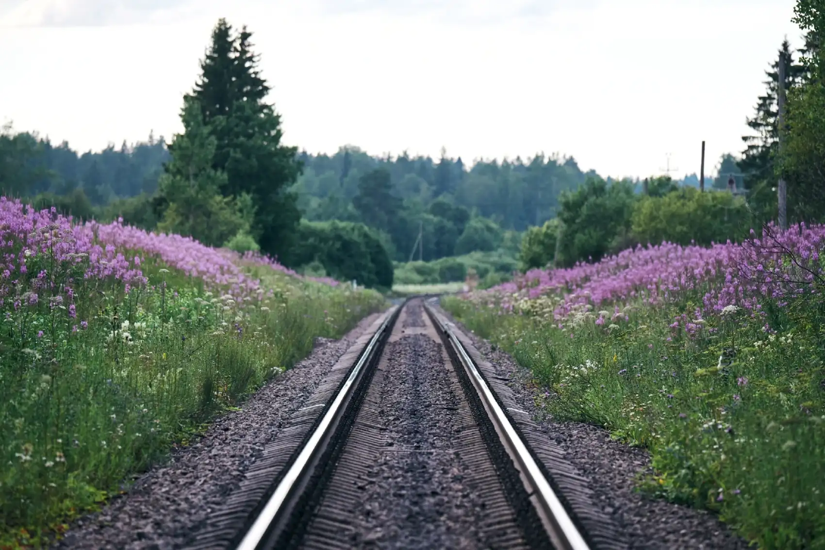 Ястребиное. Поход из Петербурга со скалолазанием и тарзанкой (6/15)