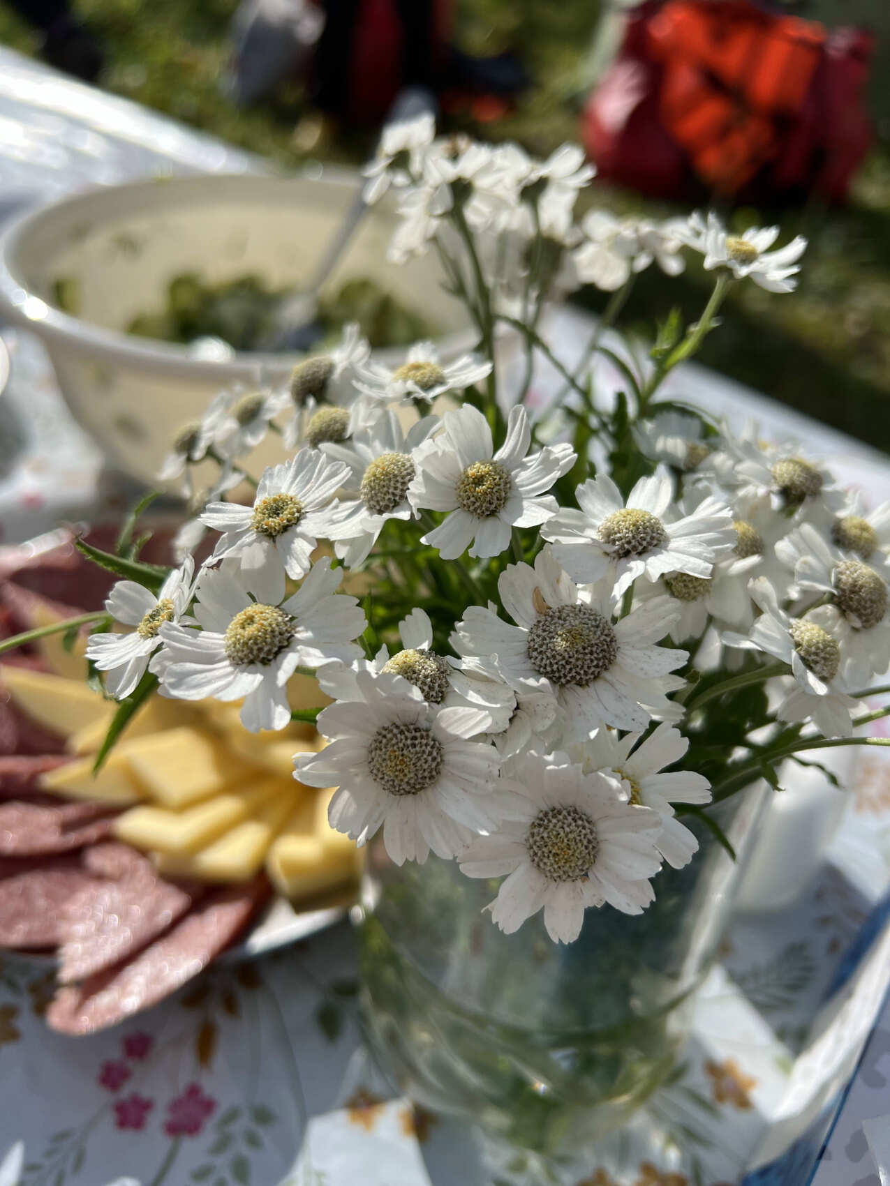 Камчатка для всей семьи питание, проживание, комфорт (14/45)