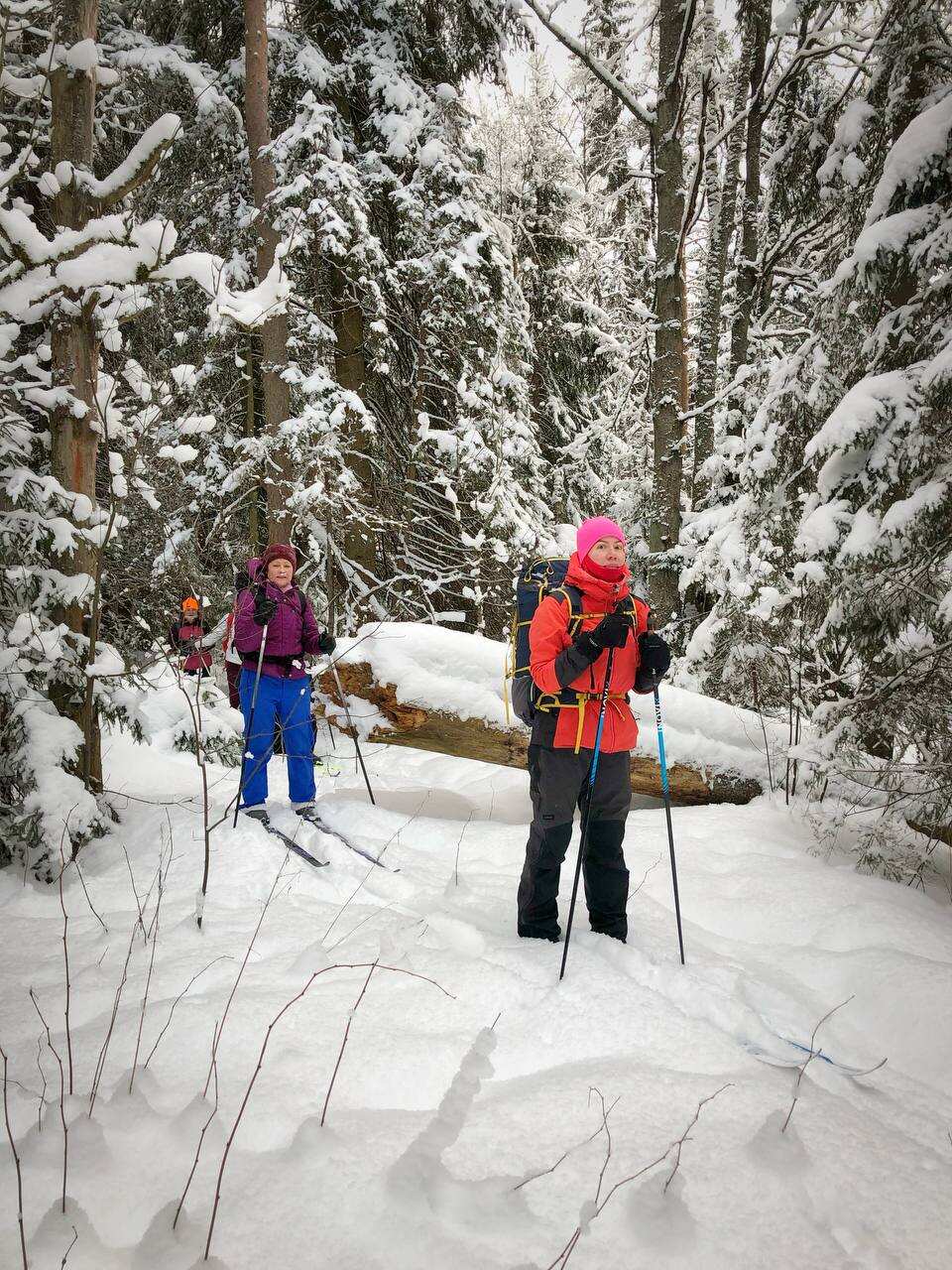 Лыжный день по сказочным местам. Однодневный выезд из Петербурга (9/17)
