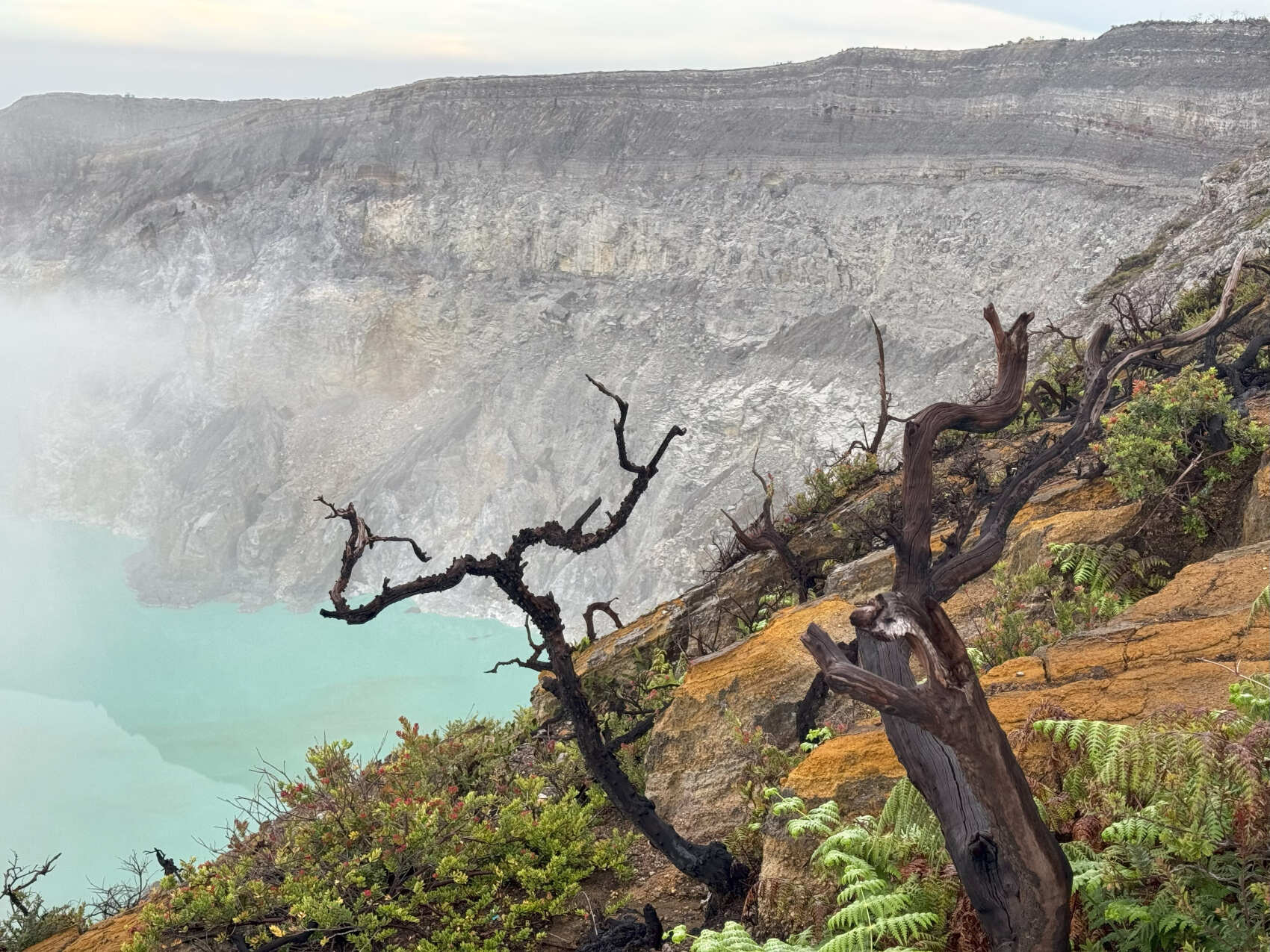 Индонезия: большое путешествие. Острова Бали, Ява, Комодо (10/58)