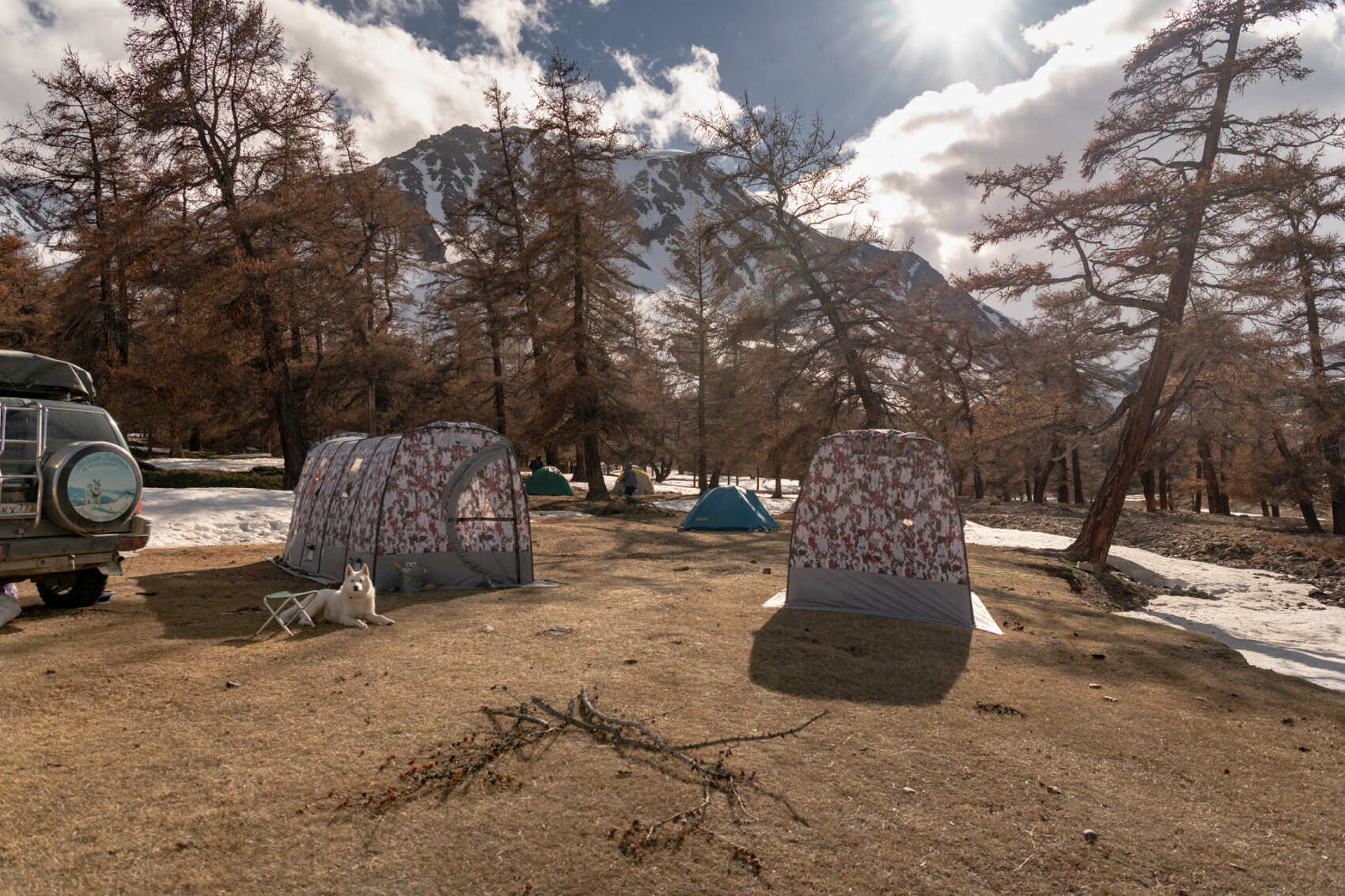 Прогулки по долинам Южно-Чуйского хребта (31/55)