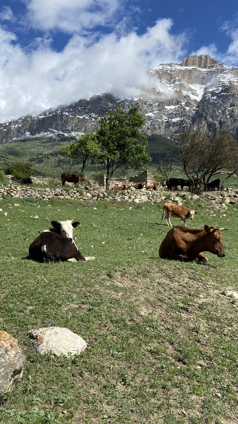 Осетия на Максималках (28/68)