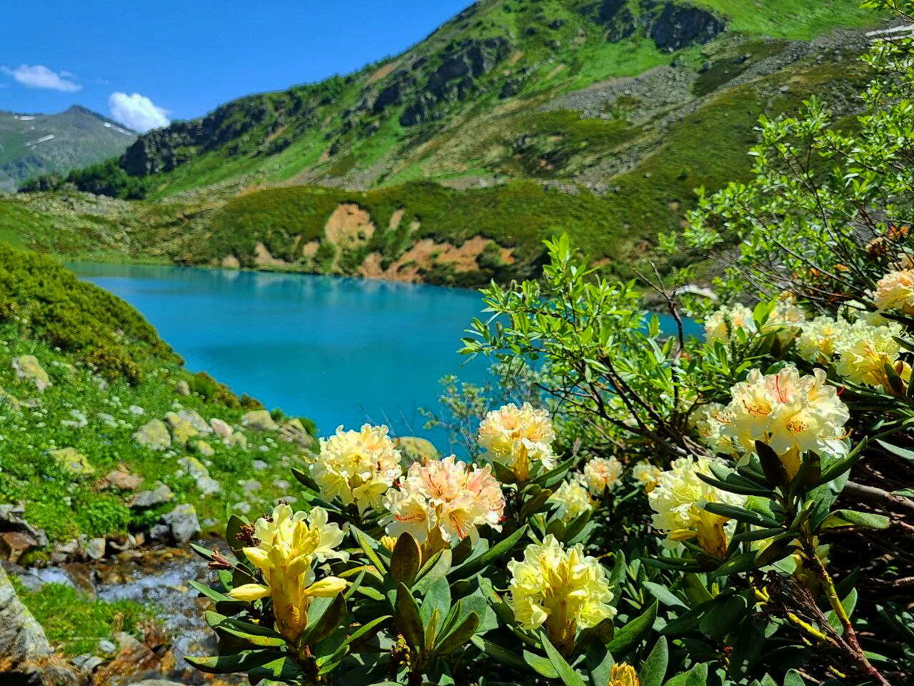 Необъятный Архыз. Комфортный трекинг без рюкзаков (41/58)