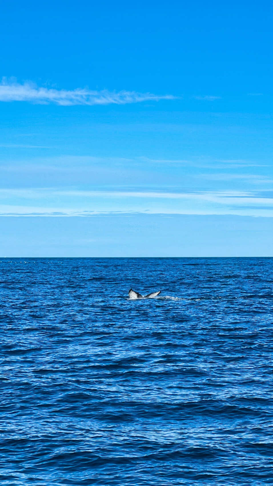 Исландия: страна льда и пламени (30/59)