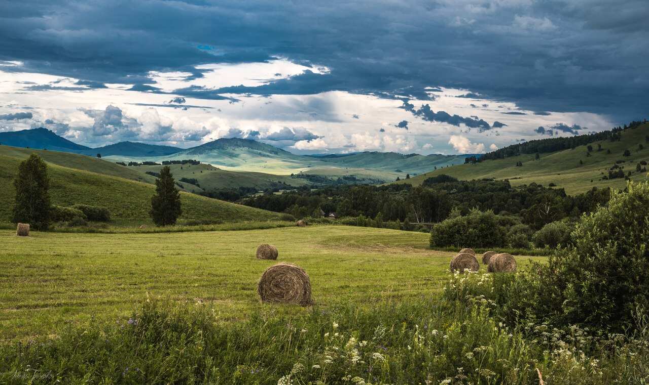 Лучшее на Алтае за 6 дней (8/38)