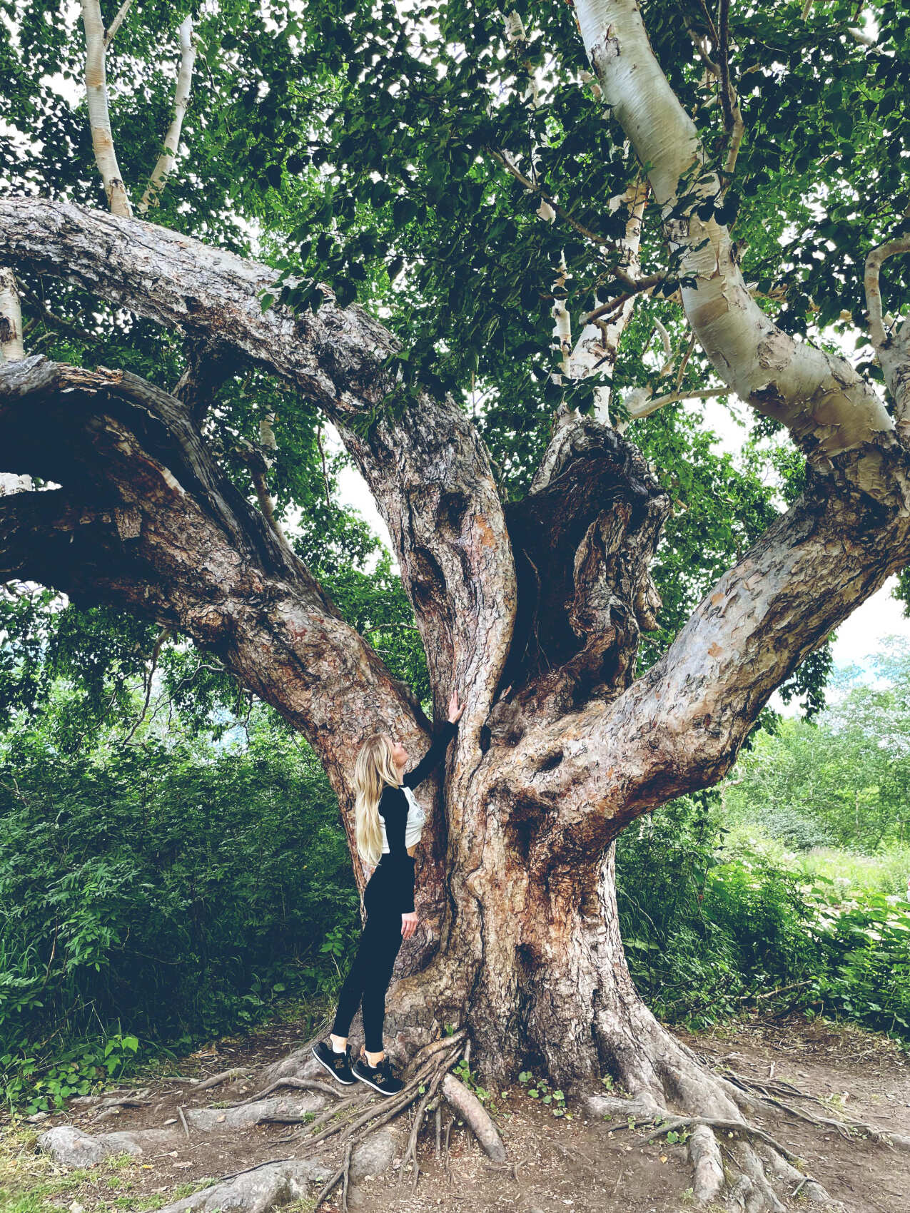 Джип-тур на озеро Толмачева. Маар Медвежья Чаша + Апачинские / Начикинские источники. (6/8)