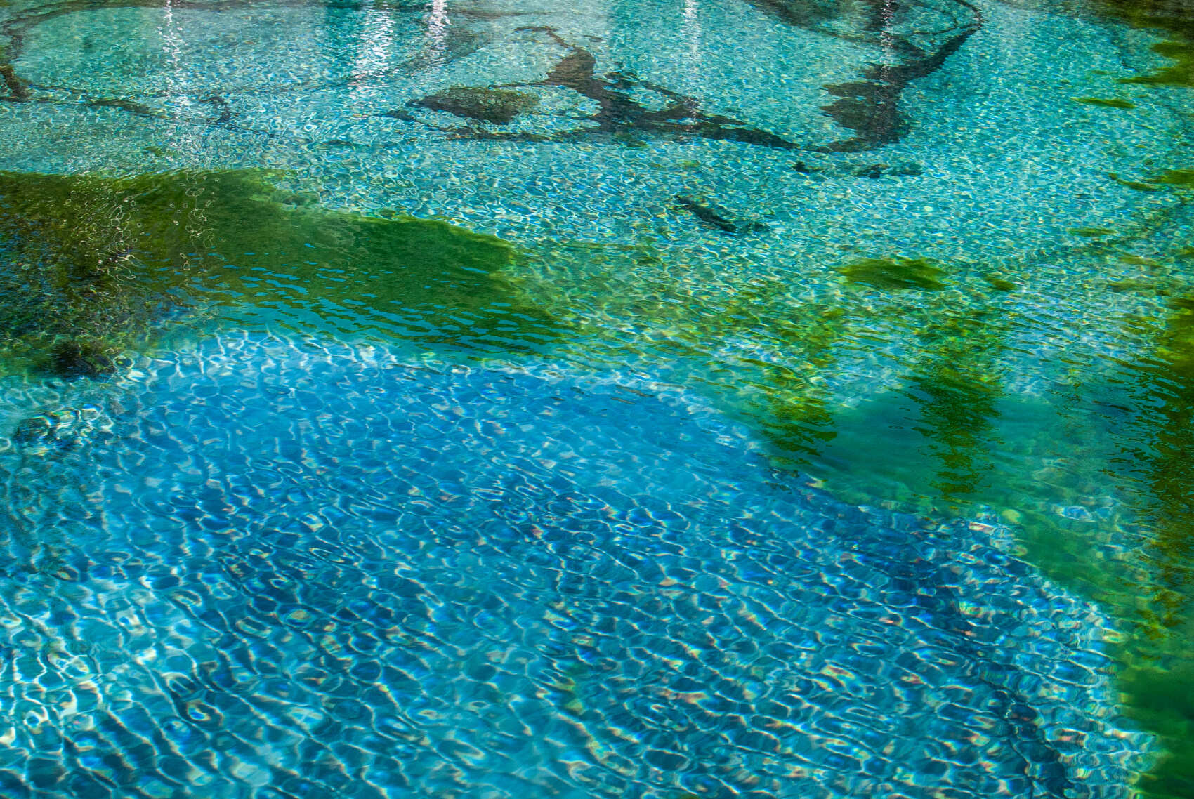 Актив-тур +: конные прогулки, сплав, трекинг, Чуйский тракт! (24/43)