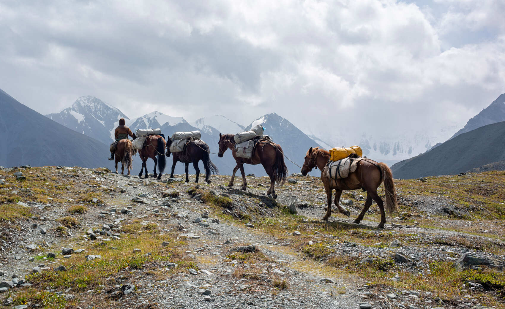 Треккинг к подножию Белухи налегке, с конным сопровождением (53/69)
