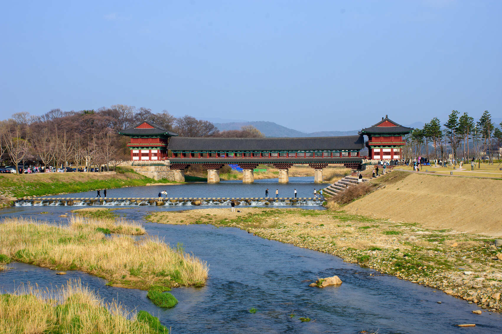 Южная Корея. Сакура в утренней свежести (17/34)