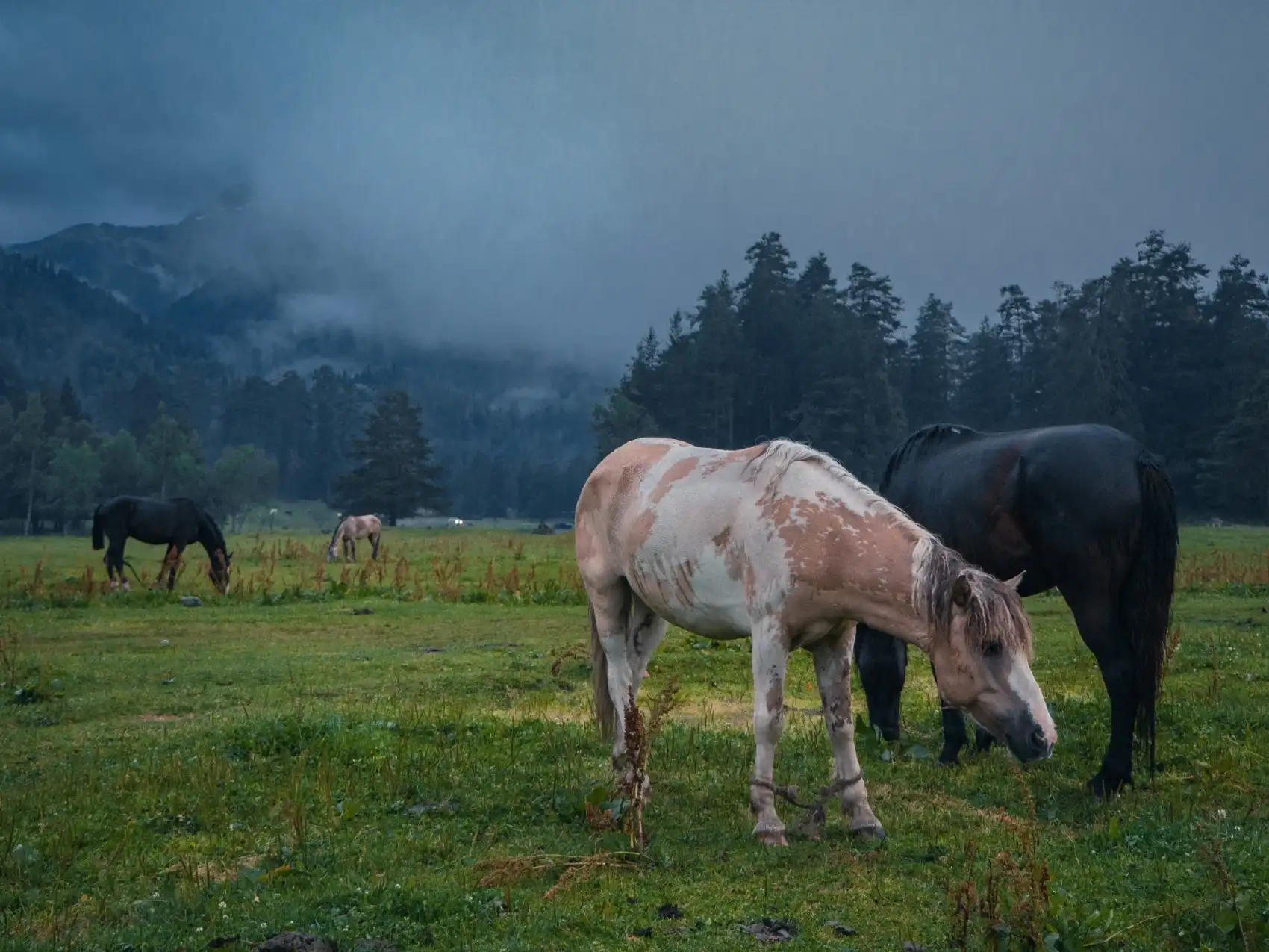 Горное путешествие по Архызу налегке. Поход с палатками без тяжелых рюкзаков (4/25)