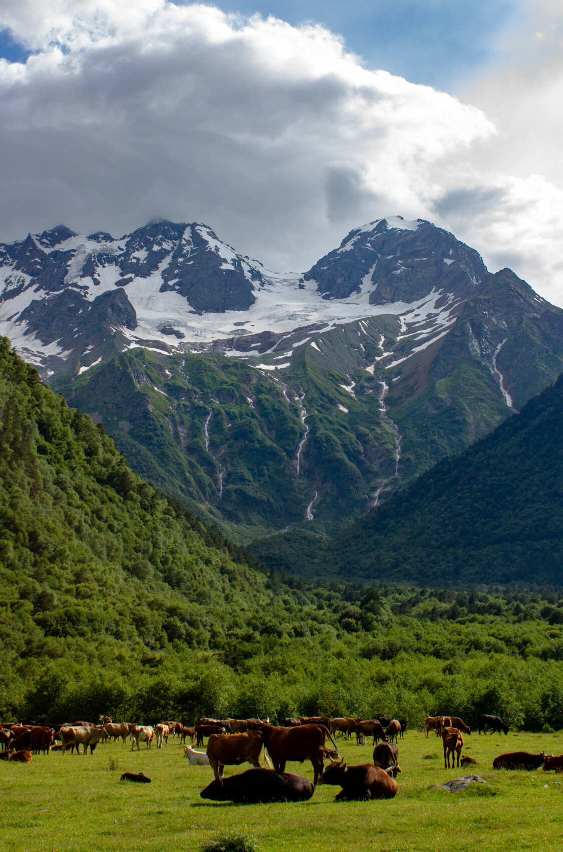 Джип-тур В сердце Осетии (7/19)