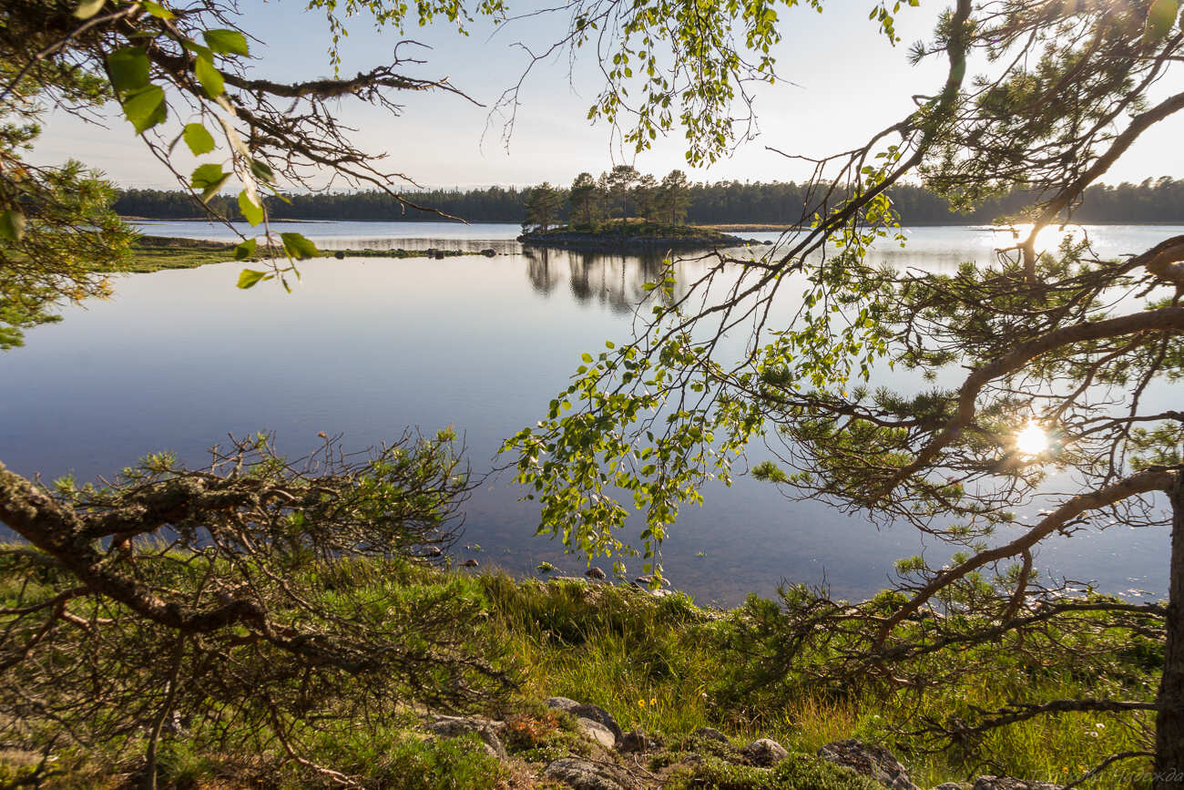 Соловецкая мозаика (4/29)