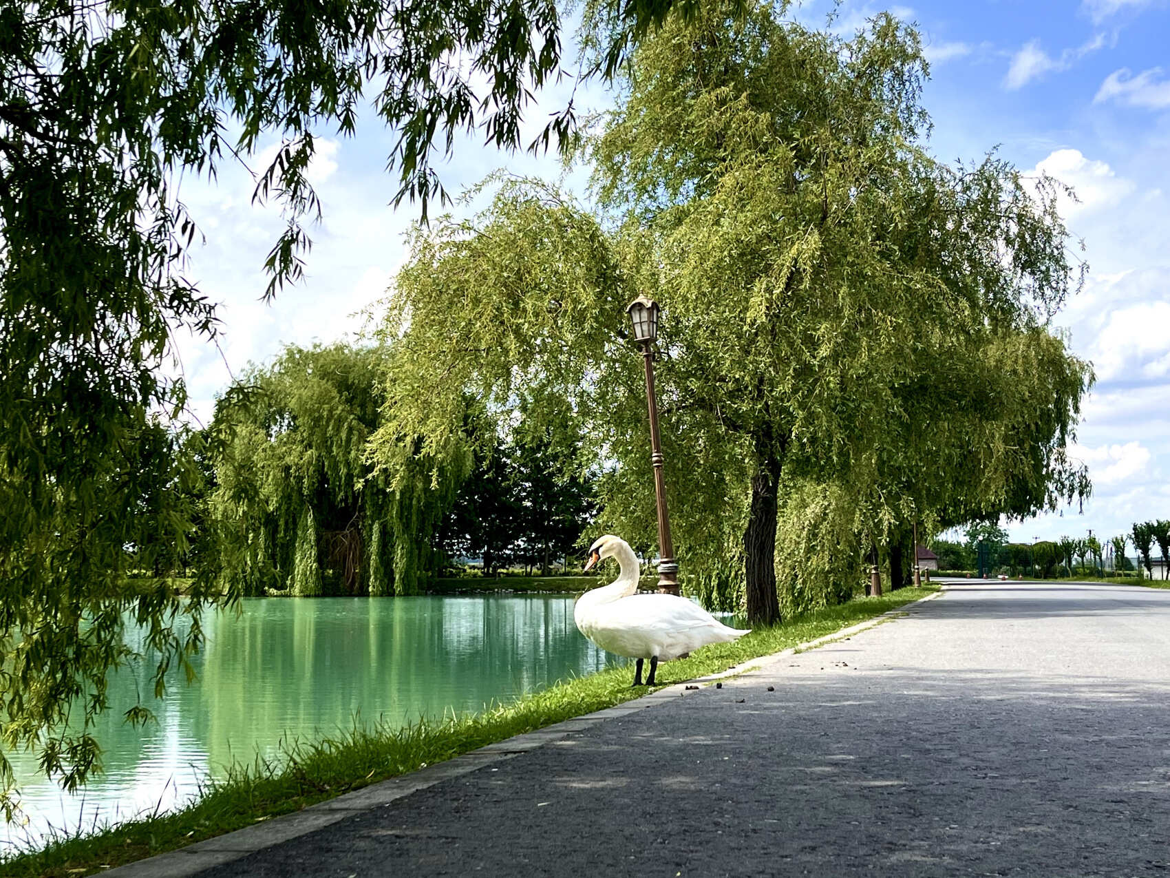 Романтическое путешествие к замку Шато Эркен с релаксом в термальных источниках (4/10)