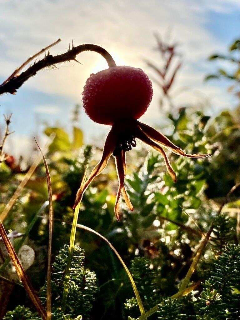 Величественный пляж 