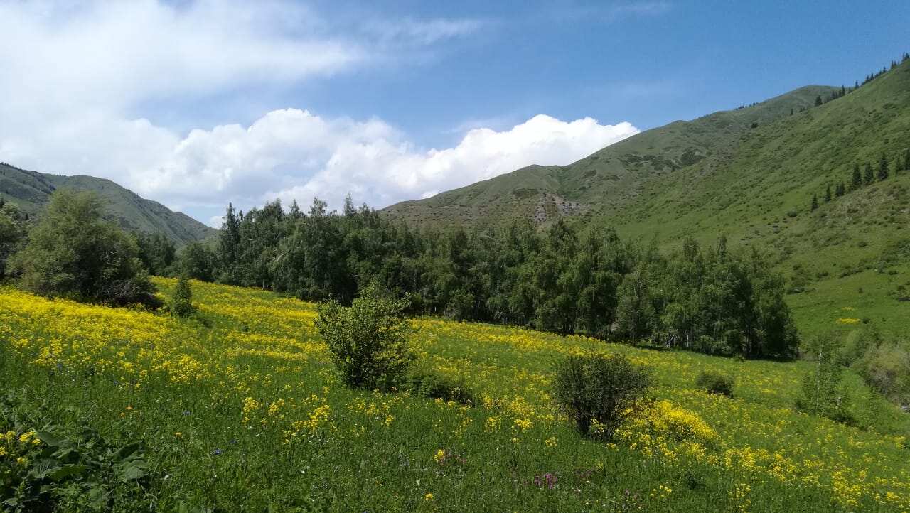 2-х дневный джип-тур: Жемчужины Тянь-Шаня  (12/33)