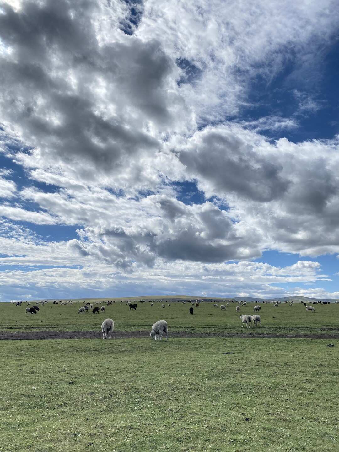 Кабардино-Балкария: Тайны Гор и Долин. Из Владикавказа (43/73)