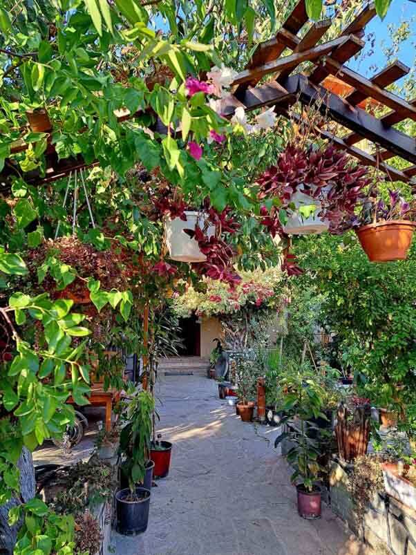 Восточная Ликийская тропа без рюкзаков и палаток (4/51)