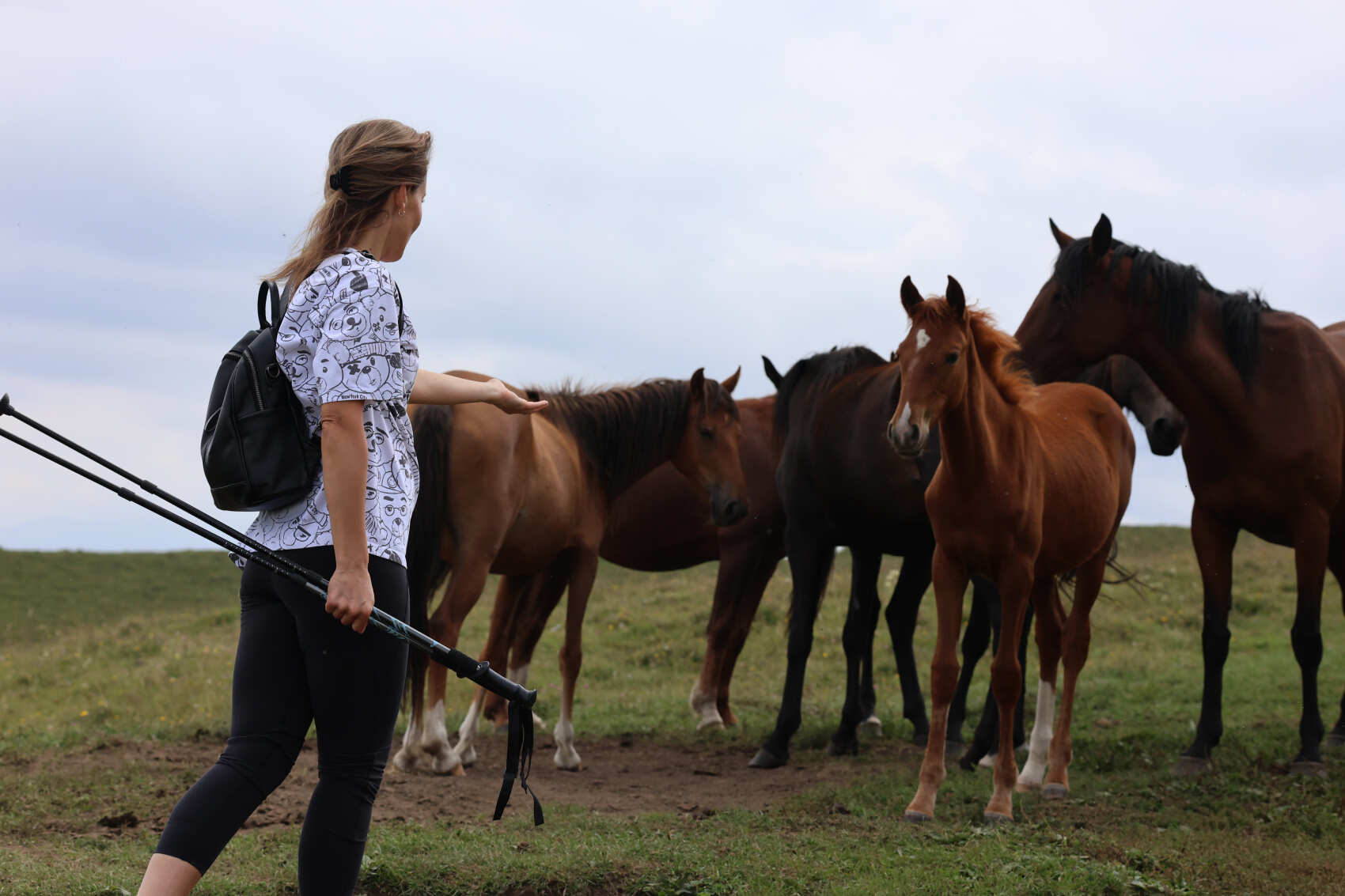 Дагестан Своими Глазами! 7 дней. Всё включено. (198/217)
