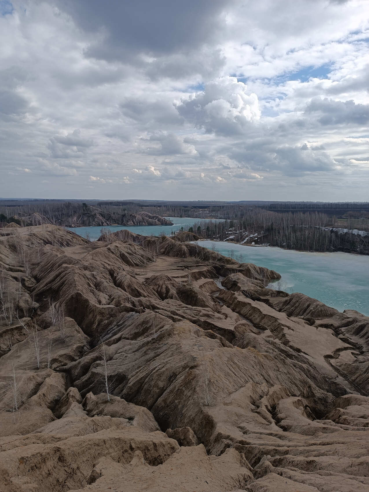 Тула, Кондуки, Куликово-Поле. Мастер-класс тульского пряника, Ясная поляна. 2 дня. (4/76)