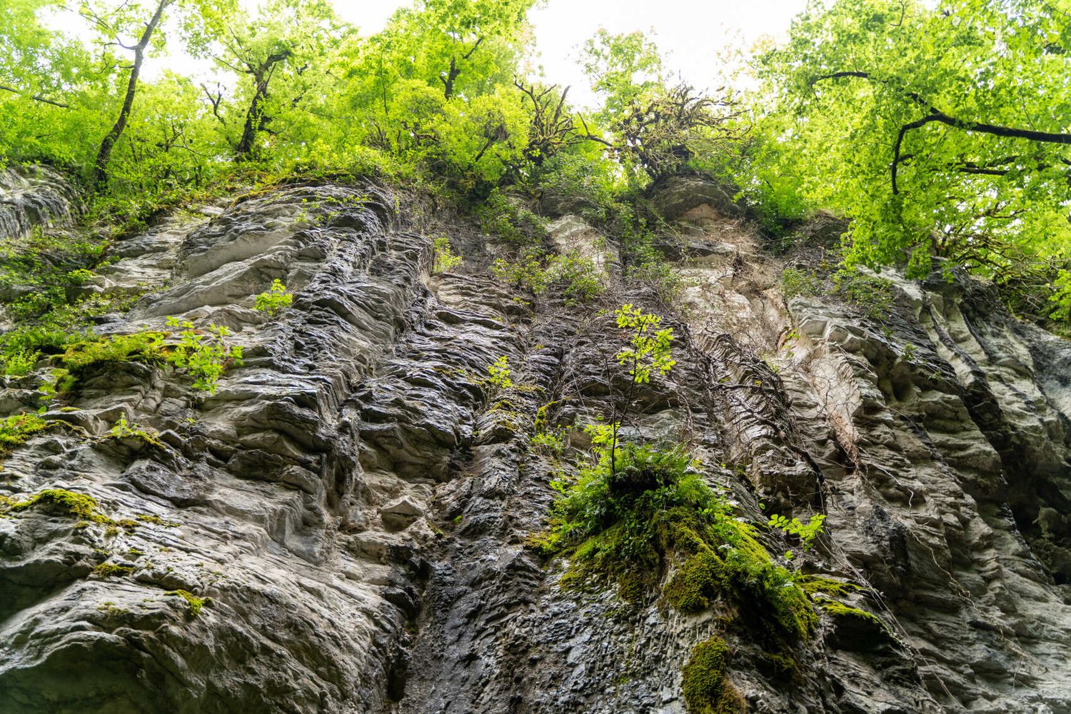 Каньон Псахо джиппинг + треккинг (9/9)